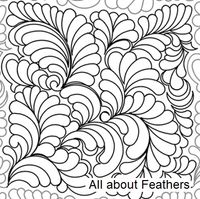 all-about-feathers